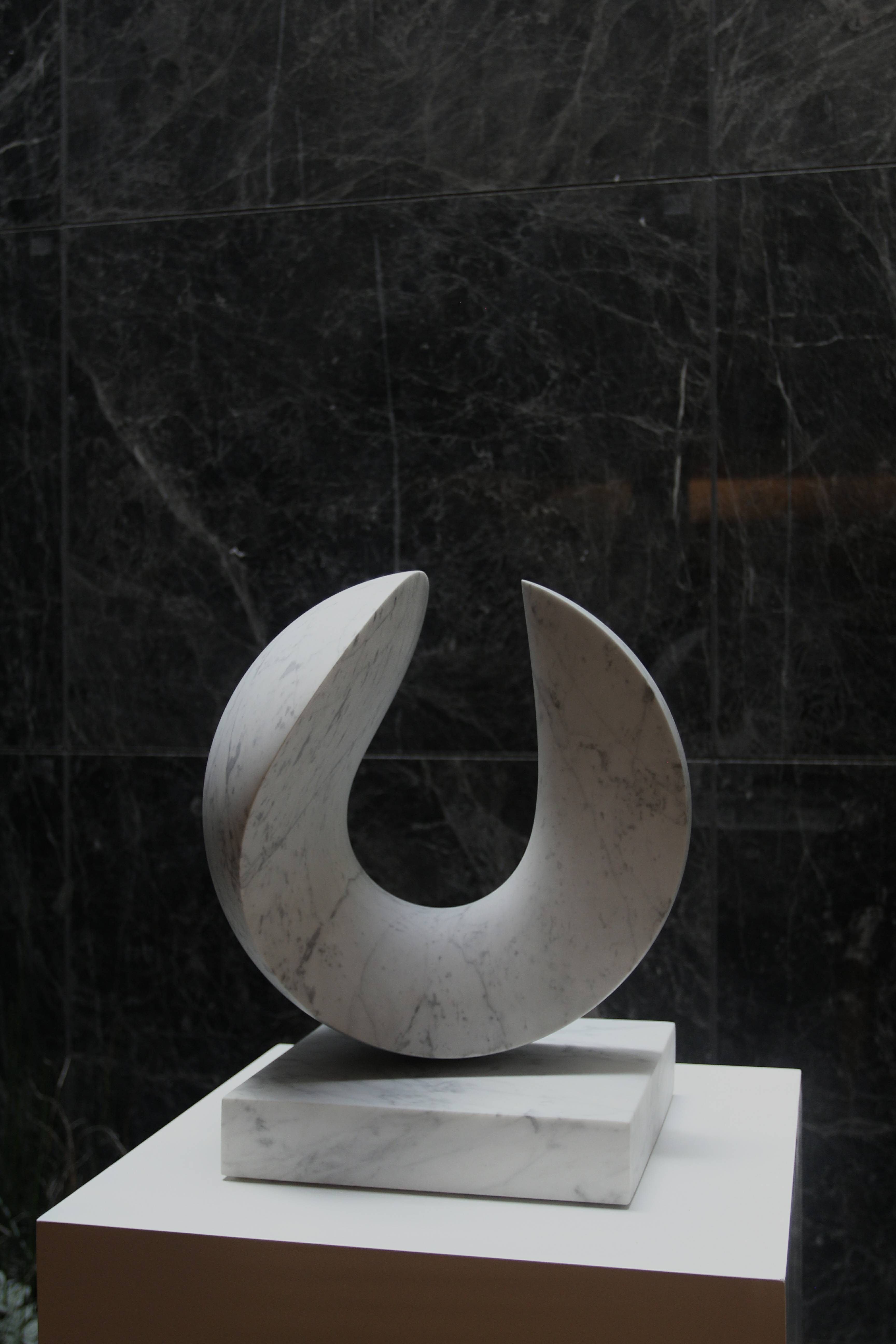 时代独白当代艺术作品展 尼古拉贝杜Nicolas Bertoux 环Ring~1.jpg