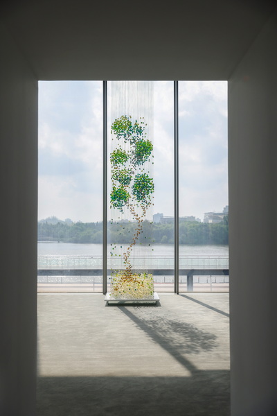 展览现场图-蚕茧树-1.jpg