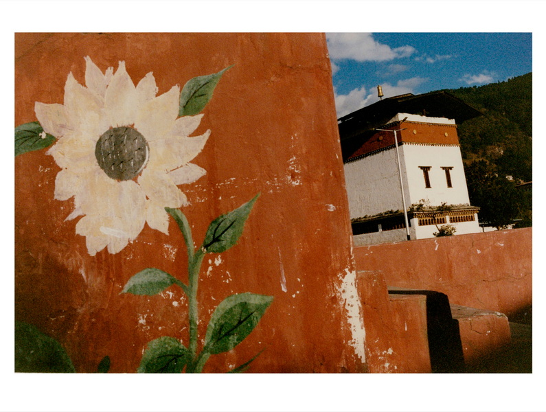 Untitled (135)(1).jpg