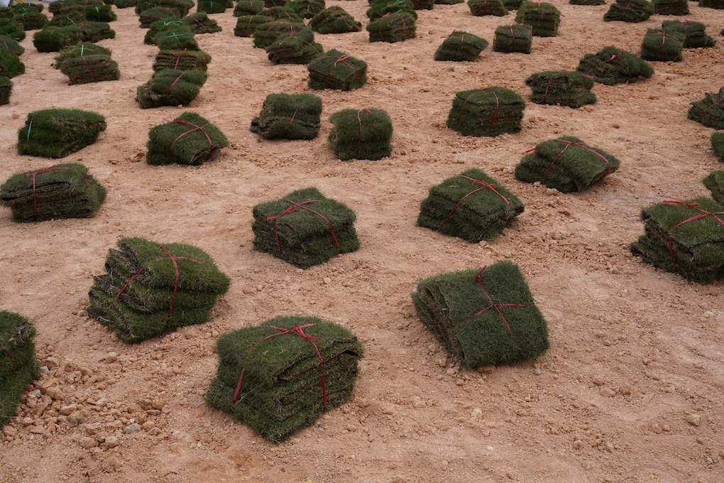 等待铺设的草坪, Lawn Awaiting Installation, 2023, ©️闫家成 Yan Jiacheng.jpg