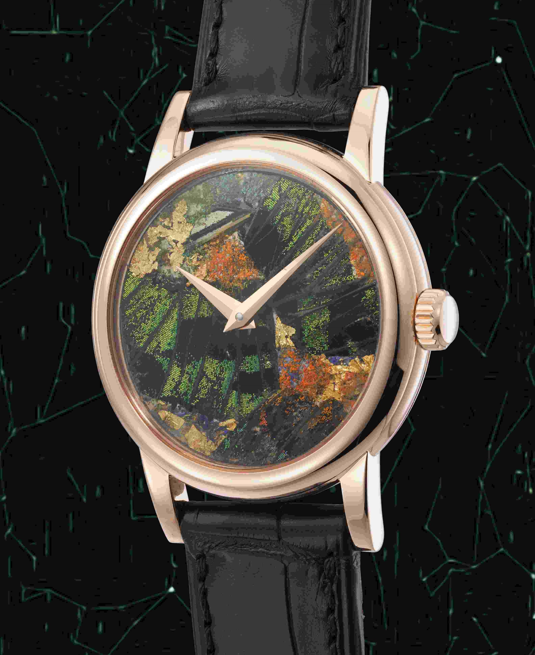 Phillips 202505-9.jpg