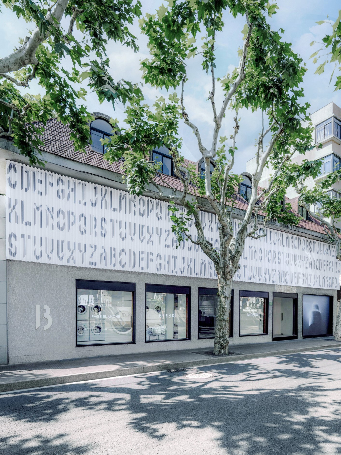 BYREDO 1.jpg