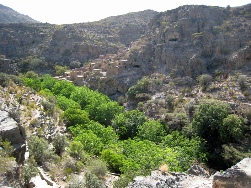Jebel Akhdar Wadi bani Habib 752a .jpg