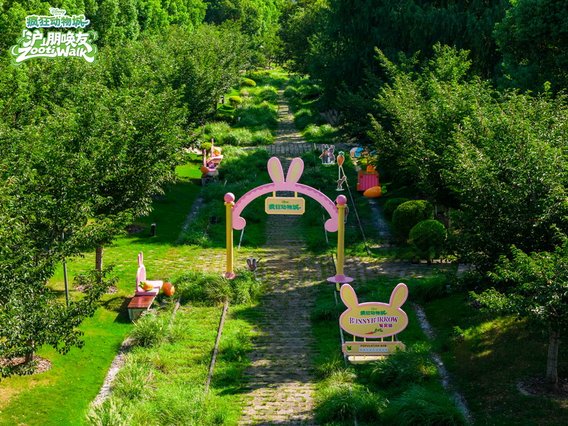 1756403874191324.jpg 03.jpg