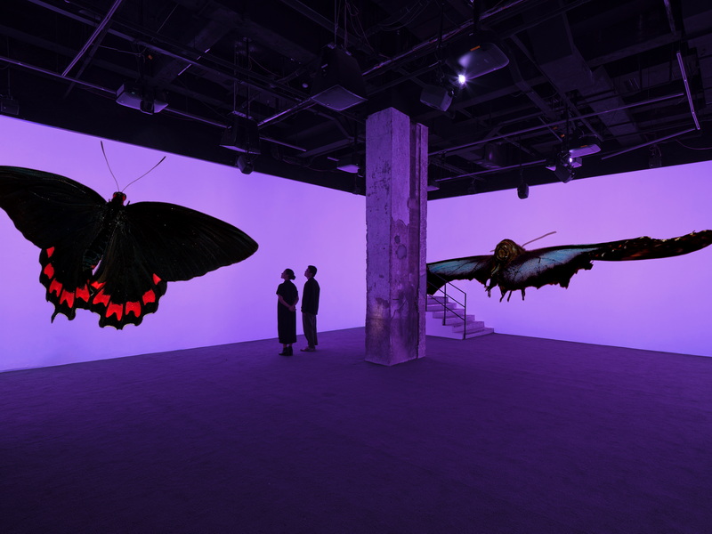 2_Andrea Galvani © The Void Migrates to the Surface_2025_Installation detail at Fotografiska Shanghai.jpg