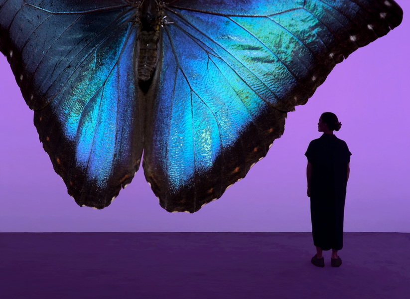 3_Andrea Galvani © The Void Migrates to the Surface_2025_Installation detail at Fotografiska Shanghai.jpg