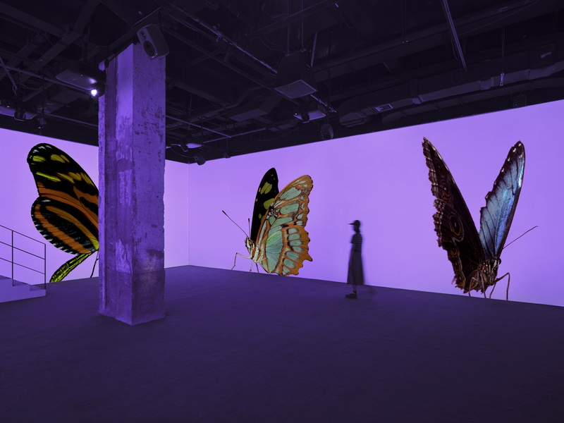 5_Andrea Galvani © The Void Migrates to the Surface_2025_Installation detail at Fotografiska Shanghai.jpg