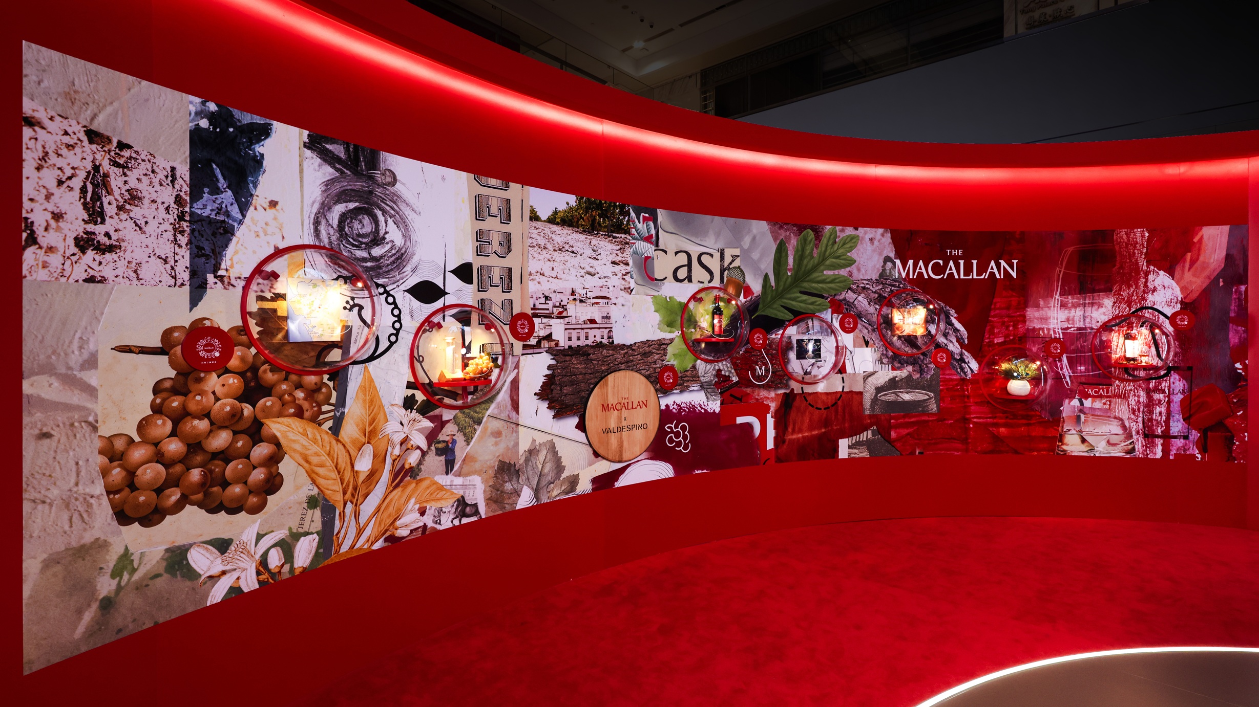 Macallen 202510-03.jpg