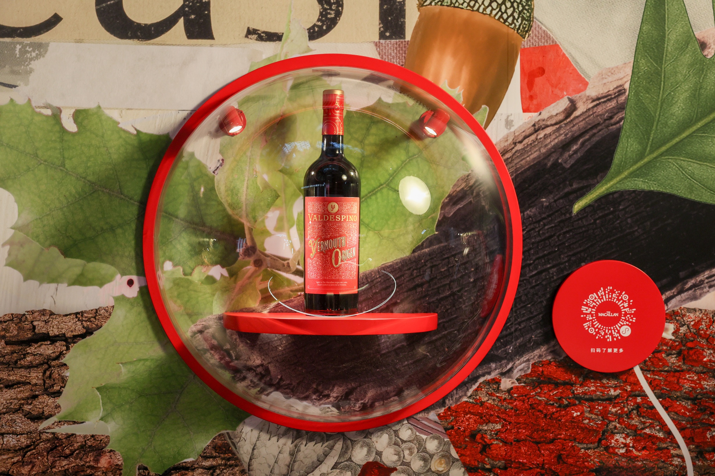 Macallen 202510-07.jpg