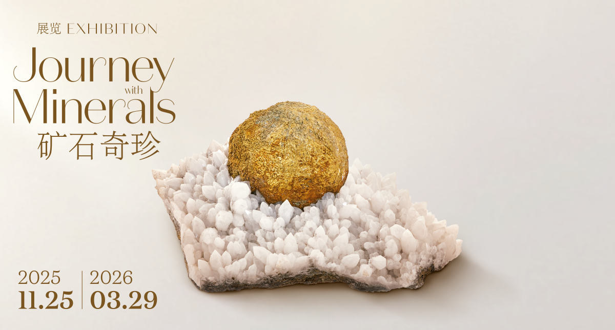 03 黄铁矿、石英，Boldut矿区，卡夫尼克，马拉穆列什县，罗马尼亚，巴黎高等矿业学院矿物学博物馆 ‒ PSL (ENSMP 82986)© L’ÉCOLE Van Cleef & Arpels，摄影：Benjamin Chelly.png