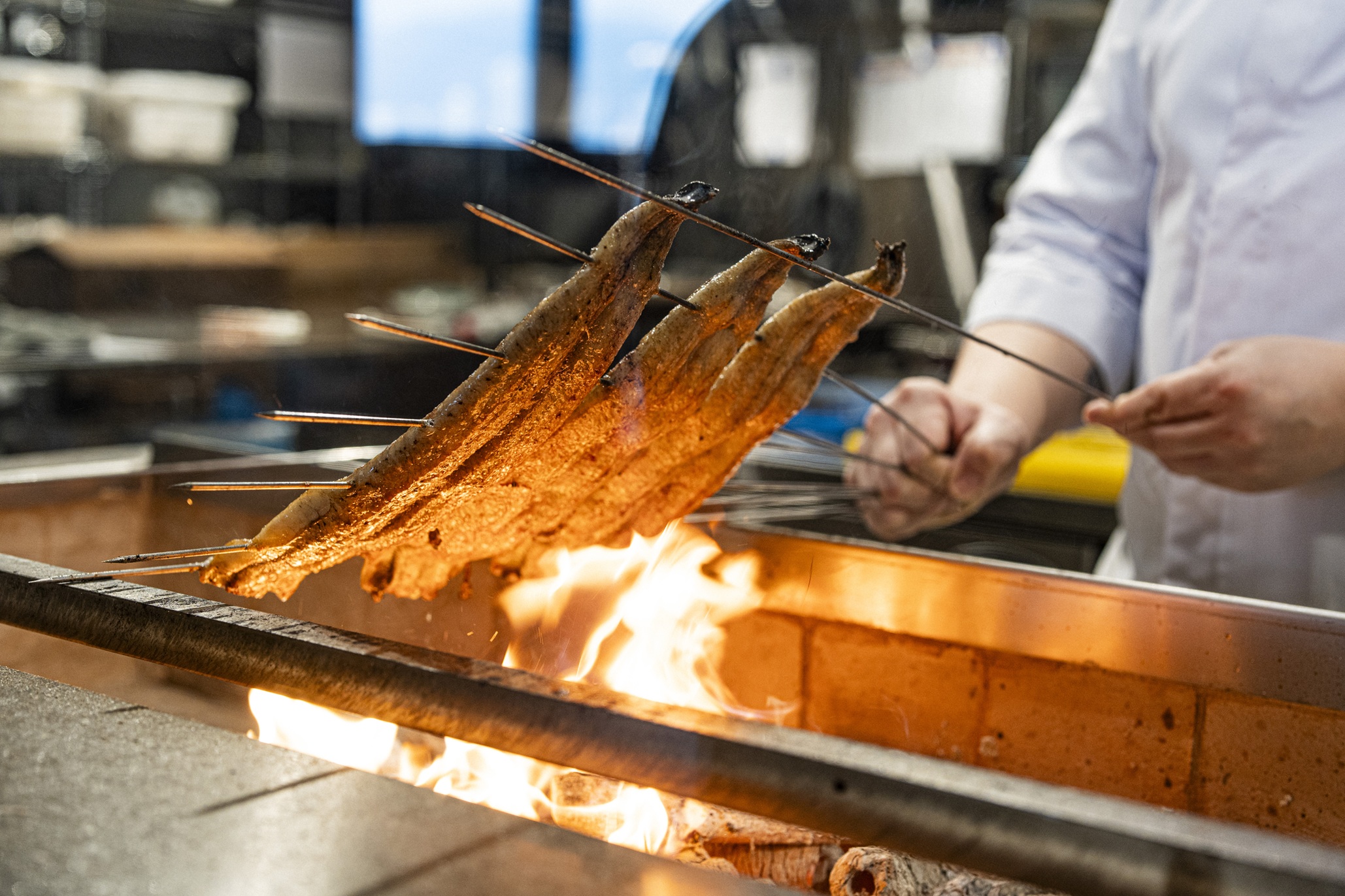 1769785779161250.jpg 四代目菊川 6.jpg